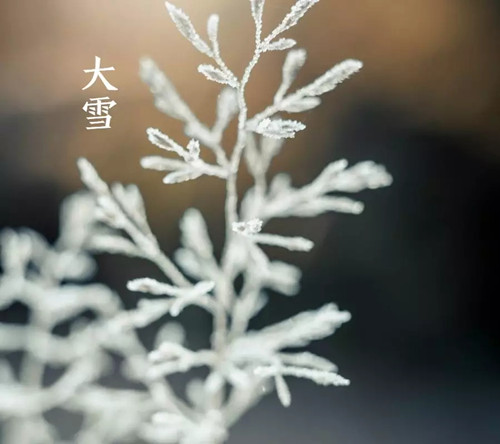 5.webp_副本.jpg 5.webp_副本.jpg