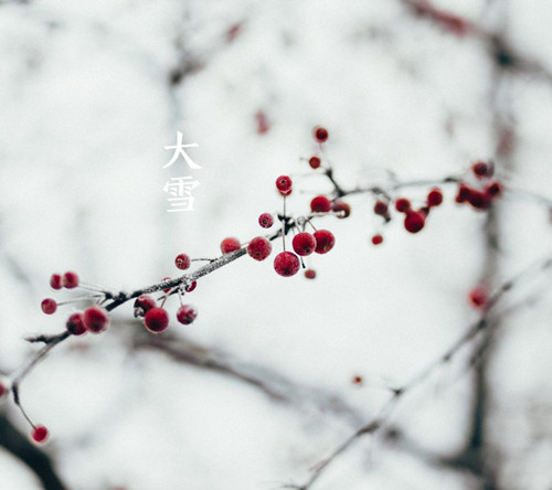 1_副本.jpg 1_副本.jpg