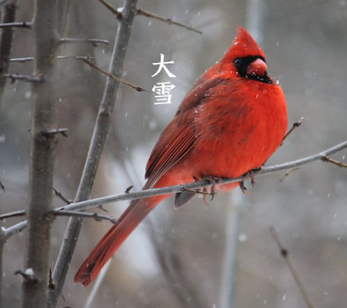 4_副本.jpg 4_副本.jpg