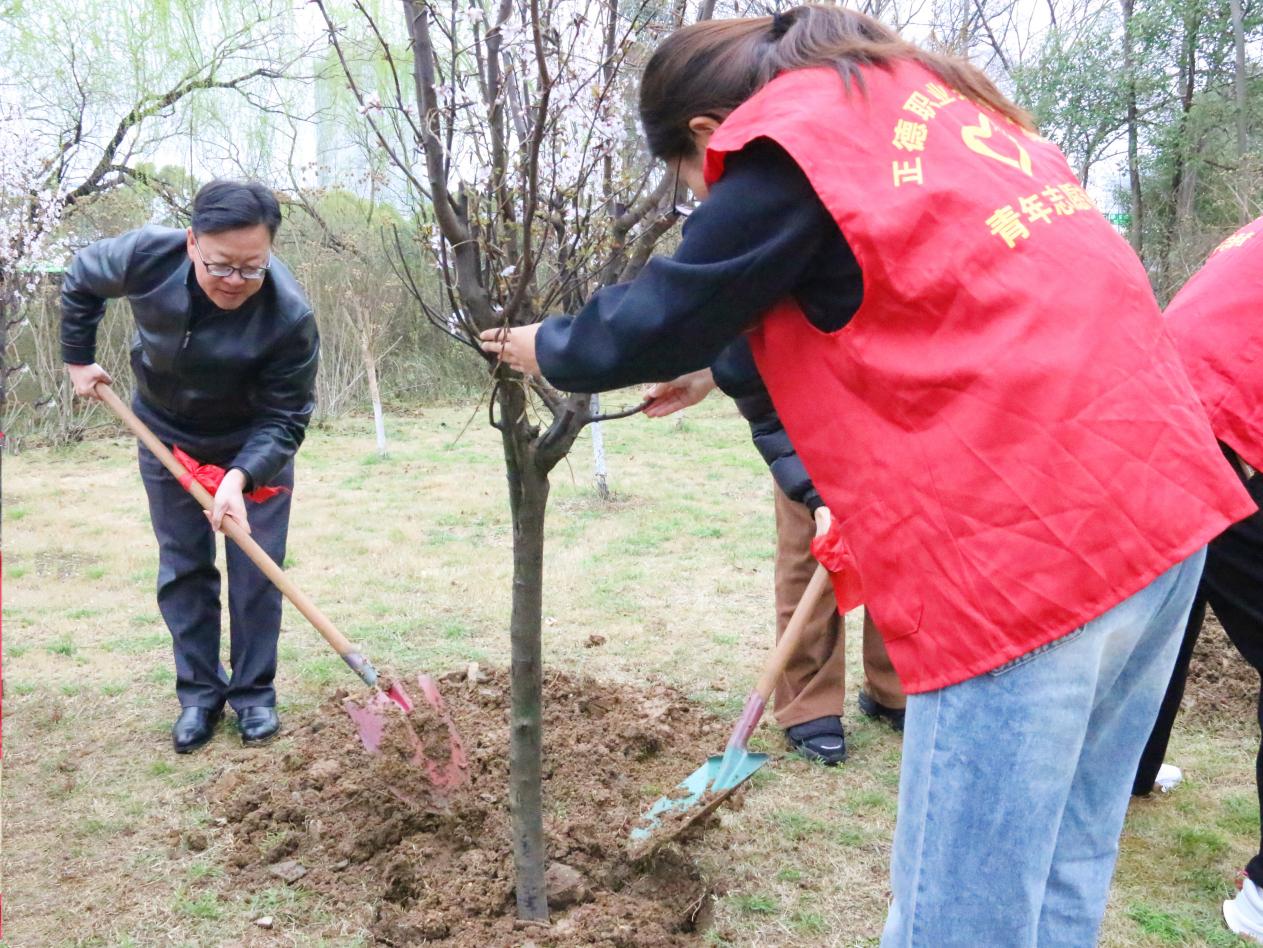 3cff74d8b558338d7291ea5ab59c518